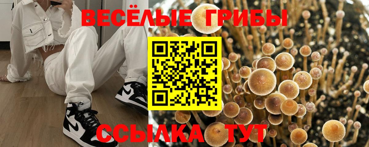 Миасс  Псилоцибиновые грибы Cubensis  Псилоцибиновые грибы ЛСД  как найти наркотики  Вход с VPN 